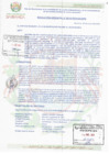 Vista preliminar de documento RESOLUCION DE GERENCIA MUNICIPAL 0010-2024-GM-MPB