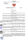 Vista preliminar de documento Resolucion Directoral N° 000324-2025