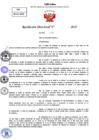 Vista preliminar de documento Resolucion Directoral N° 000328-2025