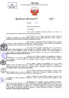 Vista preliminar de documento Resolucion Directoral N° 000335-2025