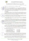 Vista preliminar de documento RA_033_A_2025_MDI