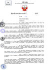Vista preliminar de documento Resolucion Directoral N° 000337-2025