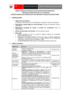 Vista preliminar de documento ANEXO A BASES DEL PROCESO DE SELECCIÓN SECCIÓN ESPECÍFICA - CAS 041-2025-OEDI