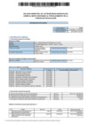 Vista preliminar de documento Balance semestral de los regidores municipales sobre el monto destinado al fortalecimiento de la función de fiscalización 
