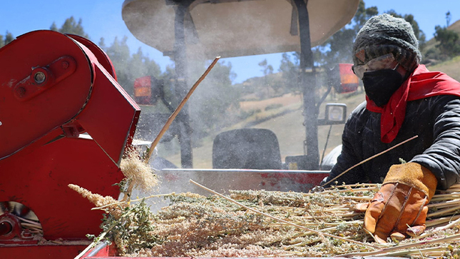NOTA DE PRENSA DEL GOBIERNO REGIONAL DE HUANCAVELICA 