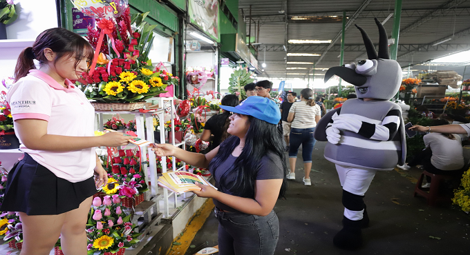 EsSalud enseña cómo conservar flores sin riesgo en San Valentín con campaña preventiva “Que te fleche Cupido y no el dengue”
