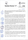 Vista preliminar de documento RD_029_2025_11-02-2025