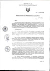 Vista preliminar de documento RPE Nº 041-2025