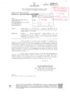 Vista preliminar de documento Implementacion de las recomendaciones de los informes de servicio de control posterior, seguimiento y publicacion periodo 072024 a 122024