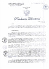 Vista preliminar de documento RD N°738-2024-DG-DIRIS-LC