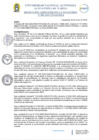 Vista preliminar de documento RAF N° 008-2025