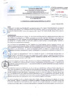 Vista preliminar de documento RESOLUCION DE GERENCIA MUNICIPAL N°11-2025-MDL
