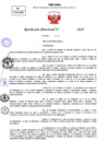 Vista preliminar de documento Resolucion Directoral N° 000377-2025