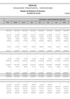 Vista preliminar de documento Año 2025 Estado de Situación Financiera – Enero