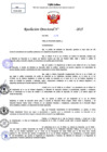Vista preliminar de documento Resolucion Directoral N° 000382-2025