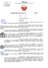Vista preliminar de documento Resolucion Directoral N° 000384-2025