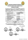 Vista preliminar de documento CONVOCATORIA ROUD CIA PNP EL CARMEN - ICA