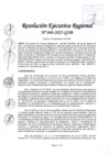 Vista preliminar de documento RER 049-2025-GOB