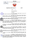Vista preliminar de documento Resolucion Directoral N° 000394-2025