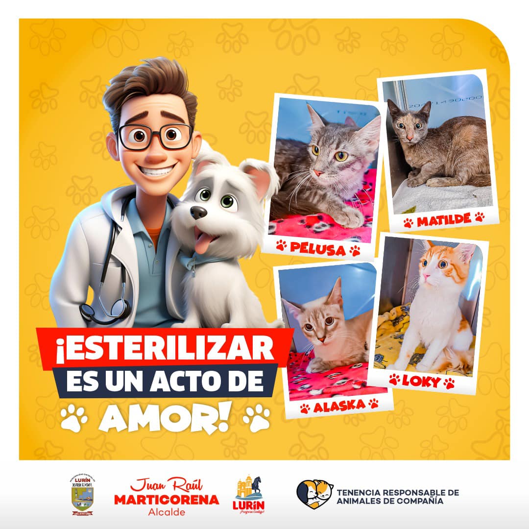 Archivo de JPG sobre una publicación del área de imagen