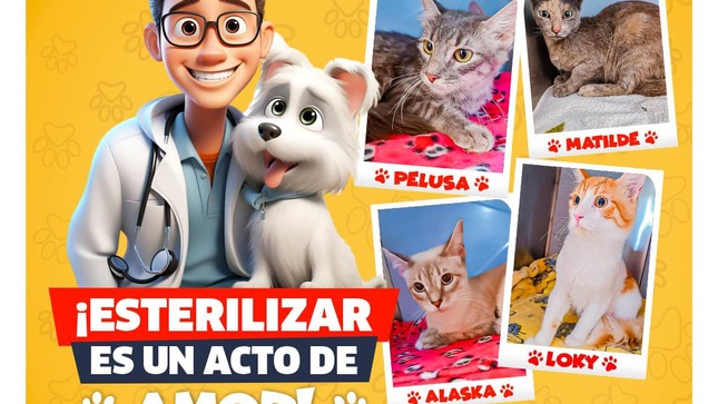 Archivo de JPG sobre una publicación del área de imagen