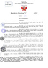 Vista preliminar de documento Resolucion Directoral N° 000401-2025
