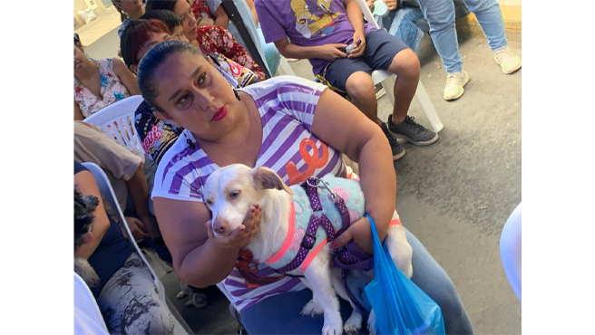 A lo largo de la charla, se abordaron temas fundamentales como:
✅Compromiso y Responsabilidad: Evaluar si se tiene el tiempo, espacio y recursos para cuidar adecuadamente a una mascota.
✅ Salud y Bienestar: Realizar chequeos veterinarios periódicos. Alimentación adecuada según la especie, raza, edad y necesidades específicas. Ejercicio y estimulación mental para evitar el estrés y problemas de comportamiento.
✅ Esterilización y Reproducción Responsable: Promover la esterilización para evitar camadas no deseadas y reducir el abandono. Informarse sobre los beneficios de la esterilización en la salud y comportamiento del animal.
✅ Convivencia Responsable: Respetar normas de convivencia (uso de correa, recoger desechos en espacios públicos). Socialización con otras personas y animales para evitar agresividad o miedo.
Además, se realizaron corte de uñas, desparasitaciones y tratamientos contra pulgas, contribuyendo a la salud de los animales de la comunidad.