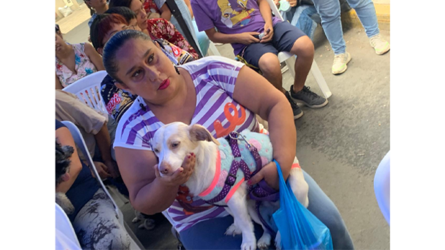 A lo largo de la charla, se abordaron temas fundamentales como:
✅Compromiso y Responsabilidad: Evaluar si se tiene el tiempo, espacio y recursos para cuidar adecuadamente a una mascota.  
✅ Salud y Bienestar: Realizar chequeos veterinarios periódicos. Alimentación adecuada según la especie, raza, edad y necesidades específicas. Ejercicio y estimulación mental para evitar el estrés y problemas de comportamiento.  
✅ Esterilización y Reproducción Responsable: Promover la esterilización para evitar camadas no deseadas y reducir el abandono. Informarse sobre los beneficios de la esterilización en la salud y comportamiento del animal.  
✅ Convivencia Responsable: Respetar normas de convivencia (uso de correa, recoger desechos en espacios públicos). Socialización con otras personas y animales para evitar agresividad o miedo.  
Además, se realizaron corte de uñas, desparasitaciones y tratamientos contra pulgas, contribuyendo a la salud de los animales de la comunidad.
