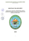 Vista preliminar de documento DIRECTIVA 001-2025