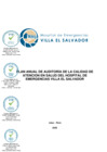 Vista preliminar de documento Plan anual de auditoria de la calidad de atención en salud - 2025