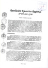 Vista preliminar de documento RER 055-2025-GOB