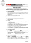 Vista preliminar de documento 04 Convocatoria 004 OPP