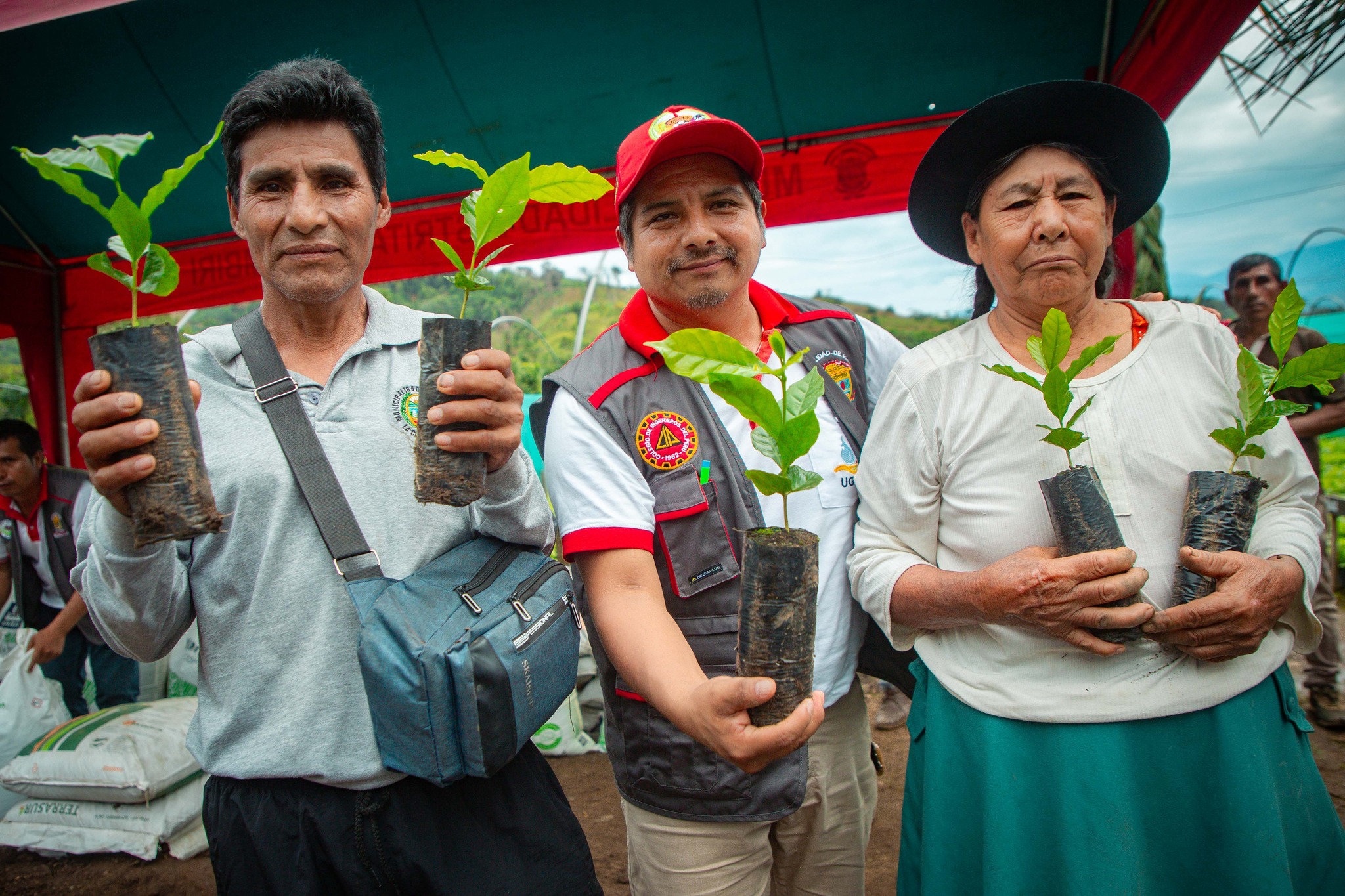 Entrega de plantones de café