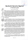 Vista preliminar de documento RER 050-2025-GOB