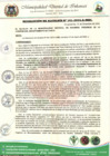 Vista preliminar de documento Resolución de Alcaldía N.° 181-2024-A-MDI
