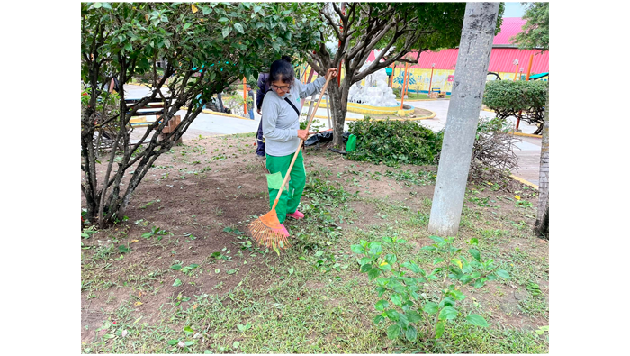 Trabajos rutinarios de poda y mantenimiento y sembrΓo de Γ‘rboles en la plazuela "La Paz" - Urb. 09 de Abril.
