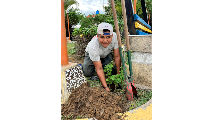 Trabajos rutinarios de poda y mantenimiento y sembrΓo de Γ‘rboles en la plazuela "La Paz" - Urb. 09 de Abril.