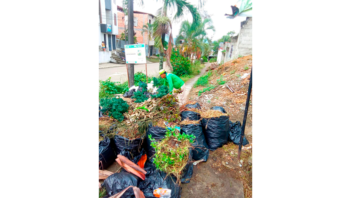 Continuamos trabajando en la ciudad de Tarapoto.