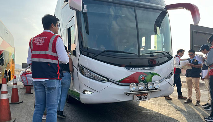 foto buses