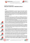 Vista preliminar de documento RESOLUCIÓN  DIRECTORAL-000029-2025-DG
