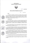 Vista preliminar de documento RPE Nº 49-2025