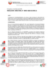Vista preliminar de documento RESOLUCIÓN  DIRECTORAL-000031-2025-DG