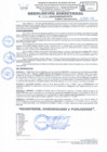 Vista preliminar de documento RD Nº 046 - 2025