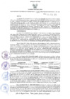 Vista preliminar de documento DGC. 036