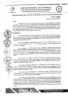 Vista preliminar de documento RDS N 39 AJ