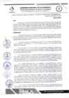 Vista preliminar de documento RDS N 93 AJ