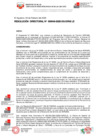 Vista preliminar de documento RESOLUCIÓN  DIRECTORAL-000040-2025-DG
