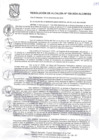 Vista preliminar de documento Resolución de Alcaldia N°156-2024-ALCMVES