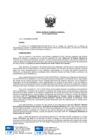 Vista preliminar de documento 022-2025-ATU/GG