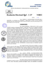 Vista preliminar de documento Resolucion Directoral N° 000425-2025